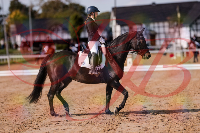 2026_10_03_Siefer-Hof_121426_Z81_16523793 | Professionelle Reitsport-, Turnier- und Eventfotografie von Robert Broda. Galerien mit ausgewählten und bearbeiteten Bildern direkt online ansehen und bestellen.
