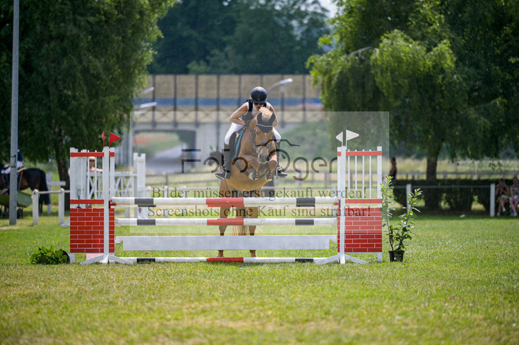 Reitturnier Voxtrup | Entdecke hochwertige Reitturnierfotos von Foto Oger. Professionell, emotional und authentisch – jetzt Lieblingsmomente im Shop bestellen. - Realisiert mit Pictrs.com