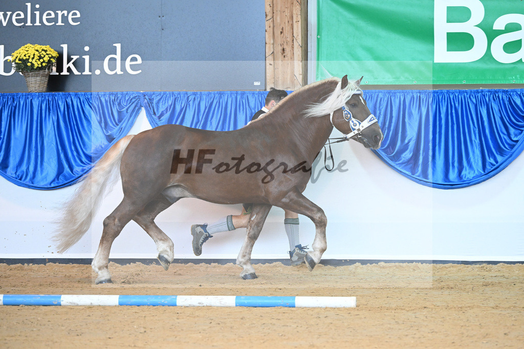 Kat-Nr. 90 Venturin_Hollinger u Ober_53220544 | hf-fotografie - Realisiert mit Pictrs.com
