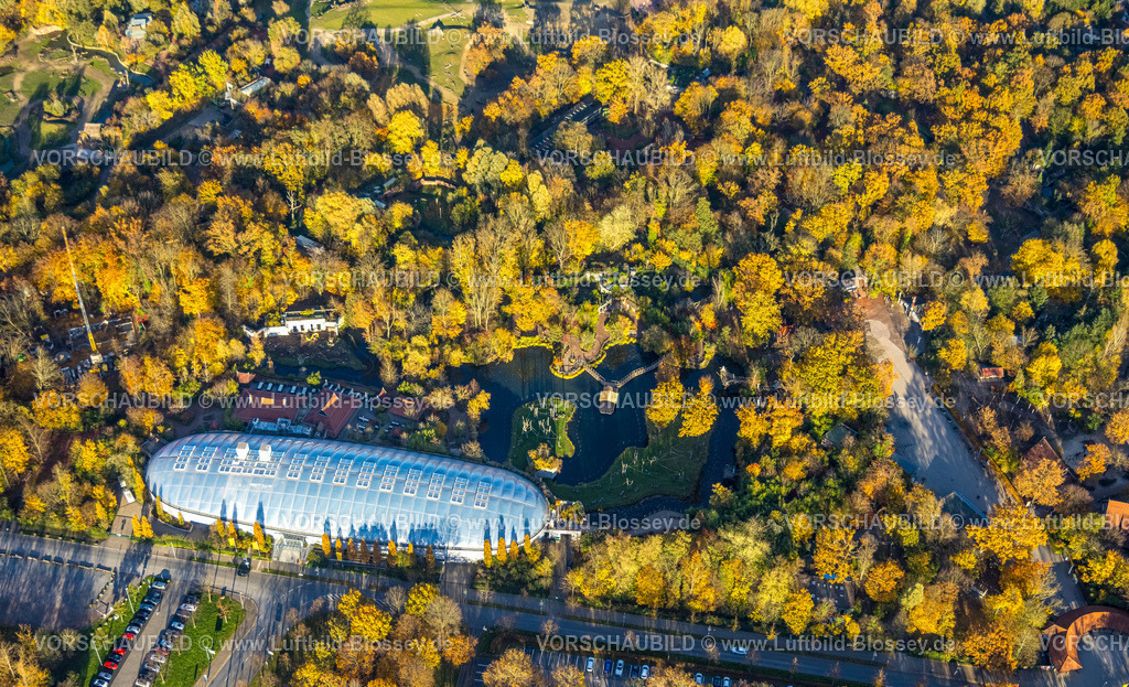 Gelsenkirchen251103250 | Luftbild, Zoo Zoom Erlebniswelt, langgezogenes Gebäude mit Drachenland und ELE Tropenparadies, herbstliche Bäume, Bismarck, Gelsenkirchen, Ruhrgebiet, Nordrhein-Westfalen, Deutschland