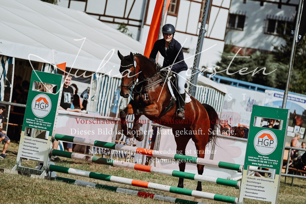 DSC_9399 | Pferde- und Turnierfotografie in Westsachsen. Pferdeportraits, Auftragszeichnungen und intuitive Kunst.