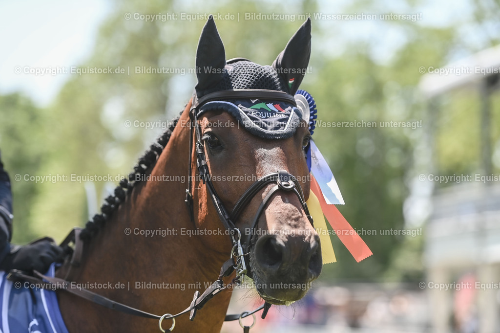 20230529_18_CSI4_Obermayr_0180 | equistock
