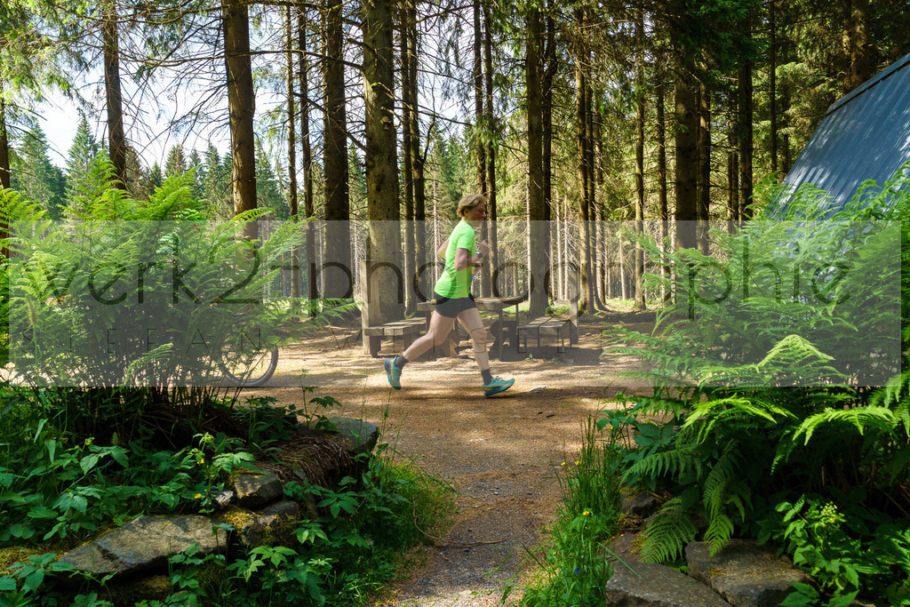 Rennsteig-Staffellauf 2023 | Rennsteig-Staffellauf - Hörschel bis Blankenstein - 17. Juni 2023