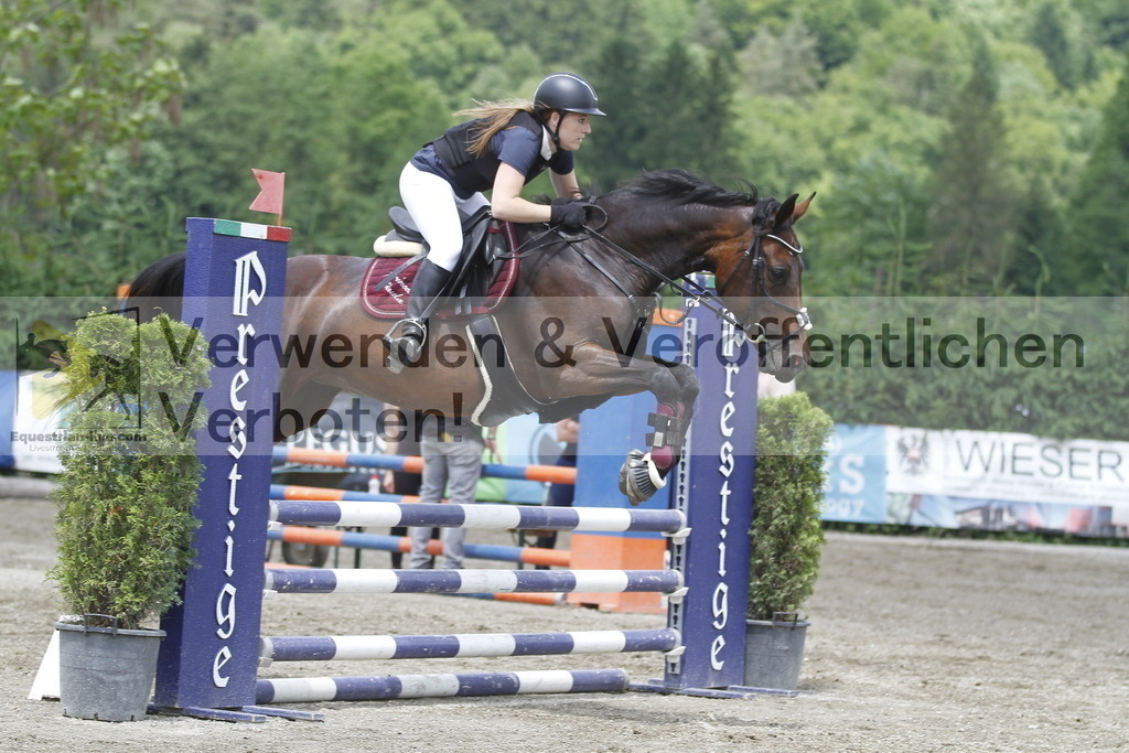 _MG_5288 | equestrian-live-com