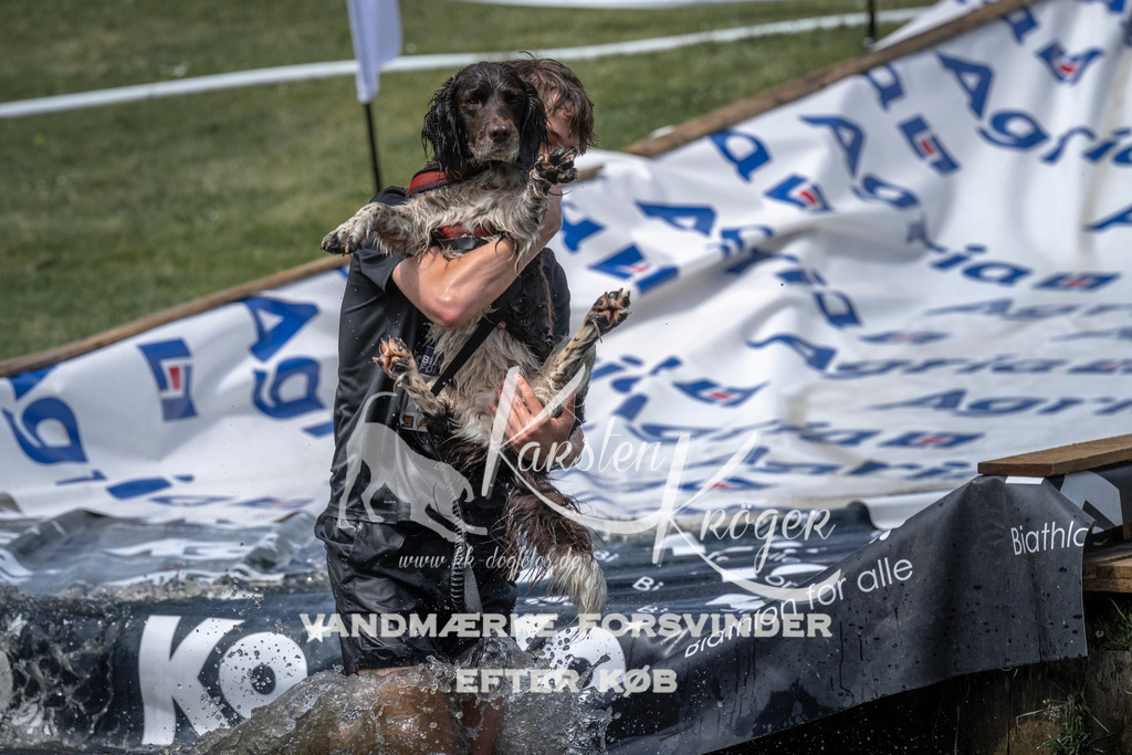 1205_ZZ95317 | kk-dogfotos