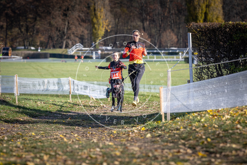CaniXpix_DV3A8078 | Hundefotografie, Tierfotograf, Pfotenfotografie, Fotoshooting Hund, Hunde Portrait, Hundesport, Hundeportraits, Heideshooting, Hunde, Sportfotograf, Hundefotograf, Turnierhundsport, THS,  - Realisiert mit Pictrs.com