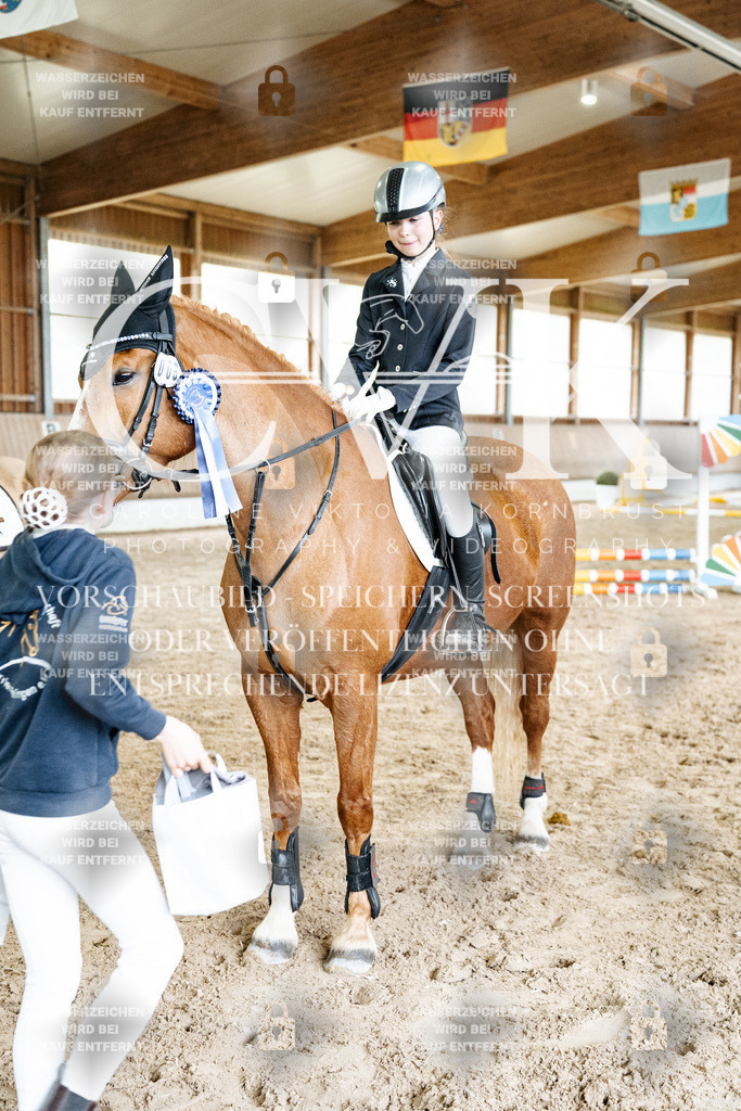 CK703417 | Turnierfotografie Pferdefotografie Trier Rheinland-Pfalz Pferdesport Reitsport Tierfotografie Sportfotografie Pferdevideo Pferdevideografie Equestrianvideography equestrianphotography  - Realized with Pictrs.com