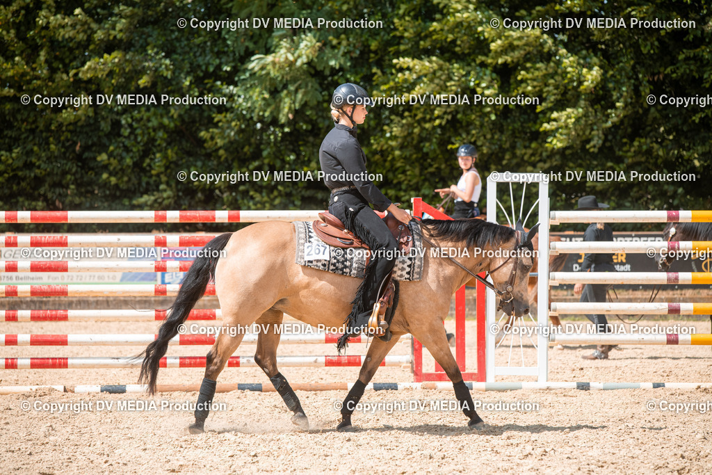 EWP_6709 | dv-media-shop - Realisiert mit Pictrs.com