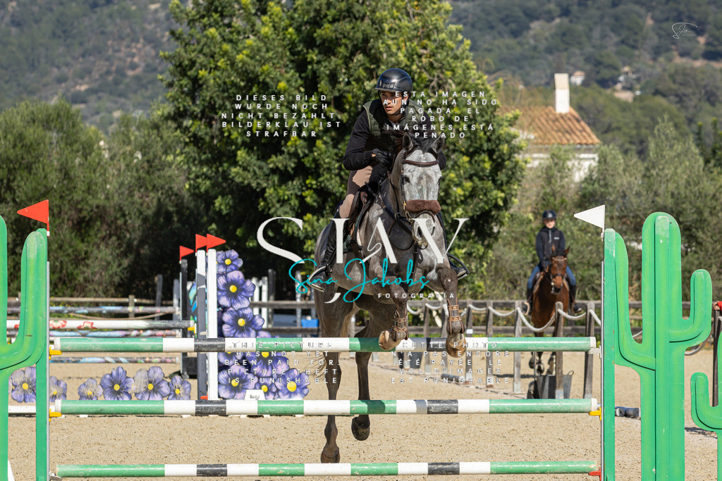 IMG_6770 | s-jay-photography - Realisiert mit Pictrs.com