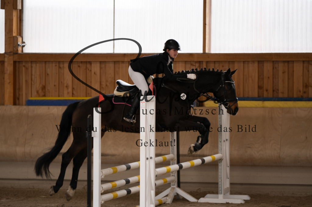 A7V00298 | Pferdefotograf