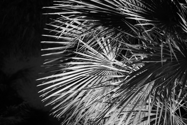 _DSF4745-Malta1 | blende43