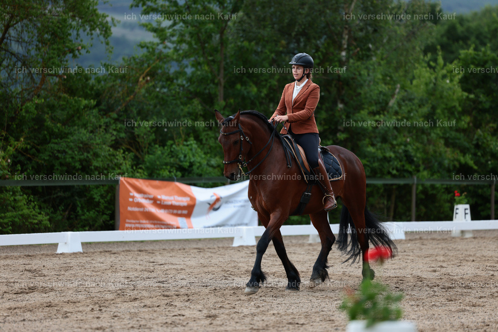 KlasseL_Stoibphotography_CAM21402.JPG | working equitationturnier fotograf videograf stoibphotography marixx film working equitation deutschland reitsport turnierfotografie eventfotografie equestrian events