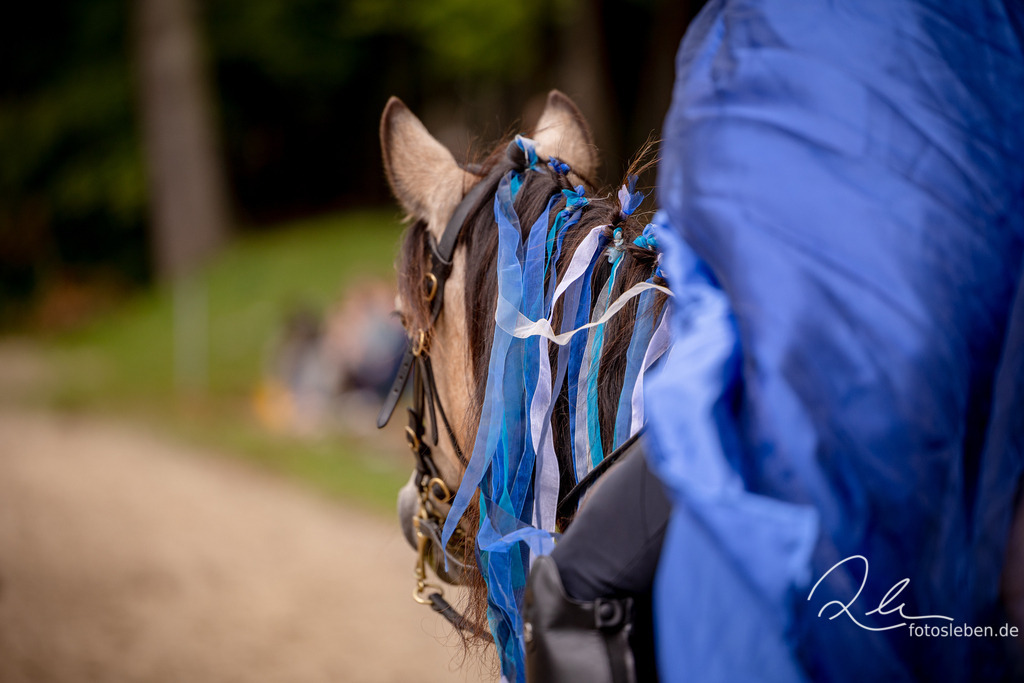 846A0141 | fotosleben - Realisiert mit Pictrs.com