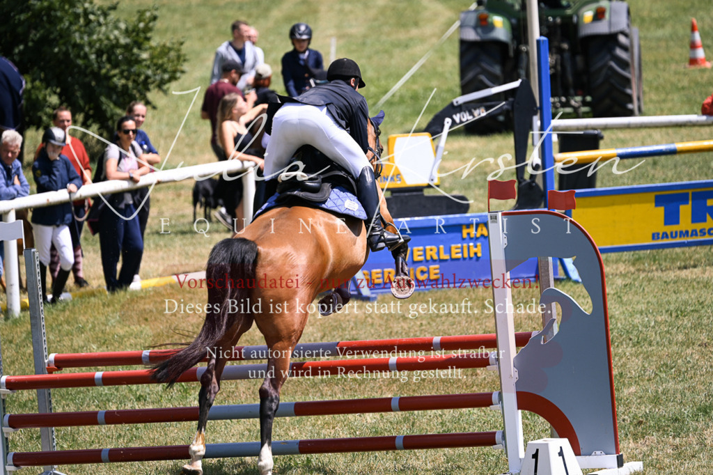 DSC_9471 | Pferde- und Turnierfotografie in Westsachsen. Pferdeportraits, Auftragszeichnungen und intuitive Kunst.