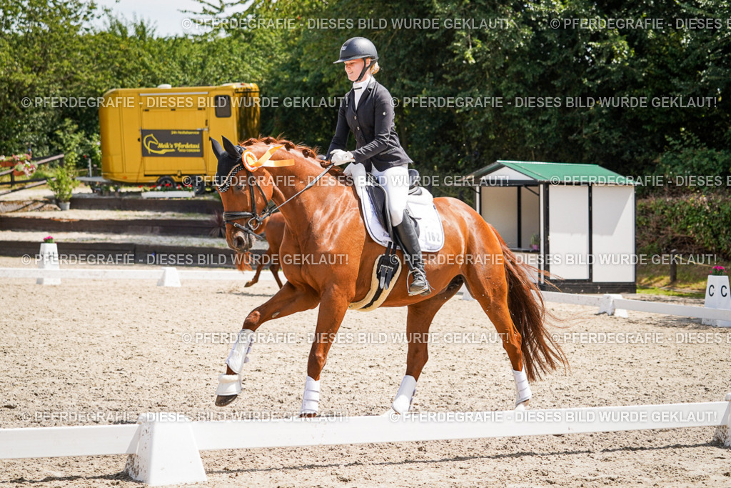 DSC01821 | Pferdegrafie