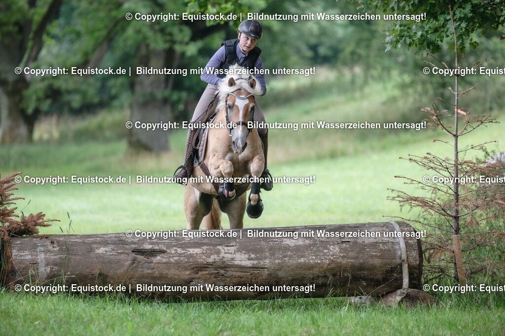 20250726_Vielseitigkeitslehrgang-Marbach_0223 | Foto: Thomas Hartig