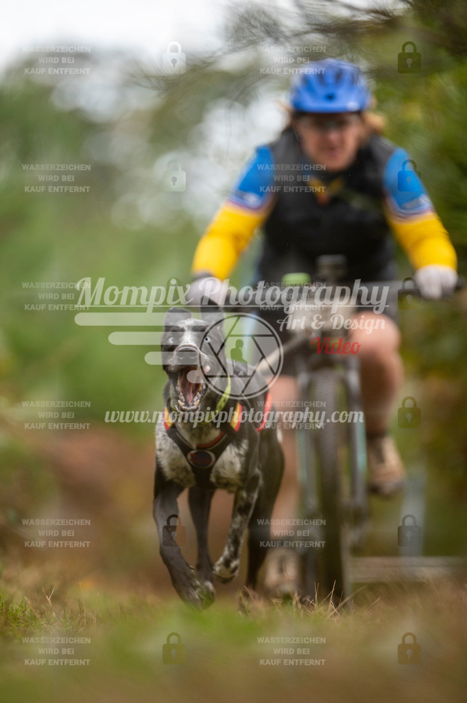 TSB_2023_E5_Bike-65 | PayLife