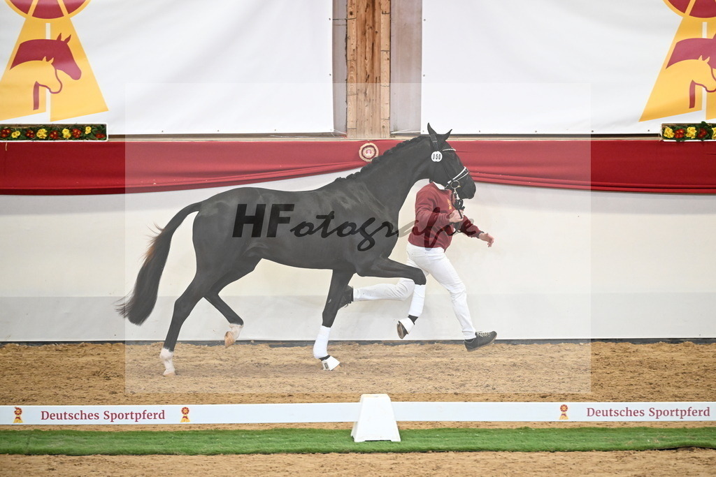 Kat.-Nr. 50 v. Donier_Meyer_2250185 | hf-fotografie - Realisiert mit Pictrs.com