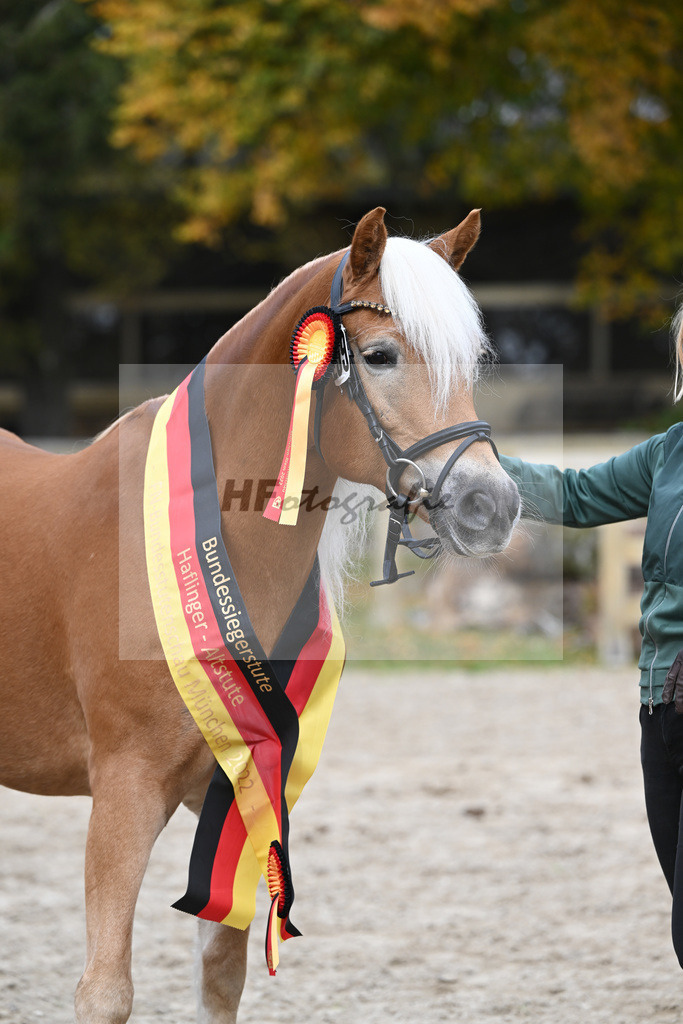 Kat-Nr. 259 Odette K_Kappelsberger_54223459 | hf-fotografie - Realisiert mit Pictrs.com