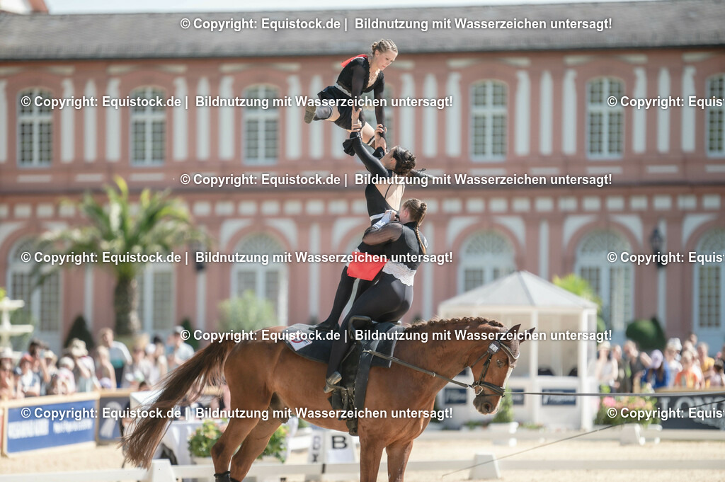 20230528_Voltigieren_NASPA_0591 | equistock