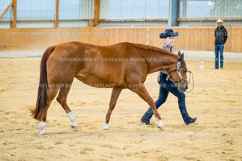 DSC09666 | Pferdegrafie