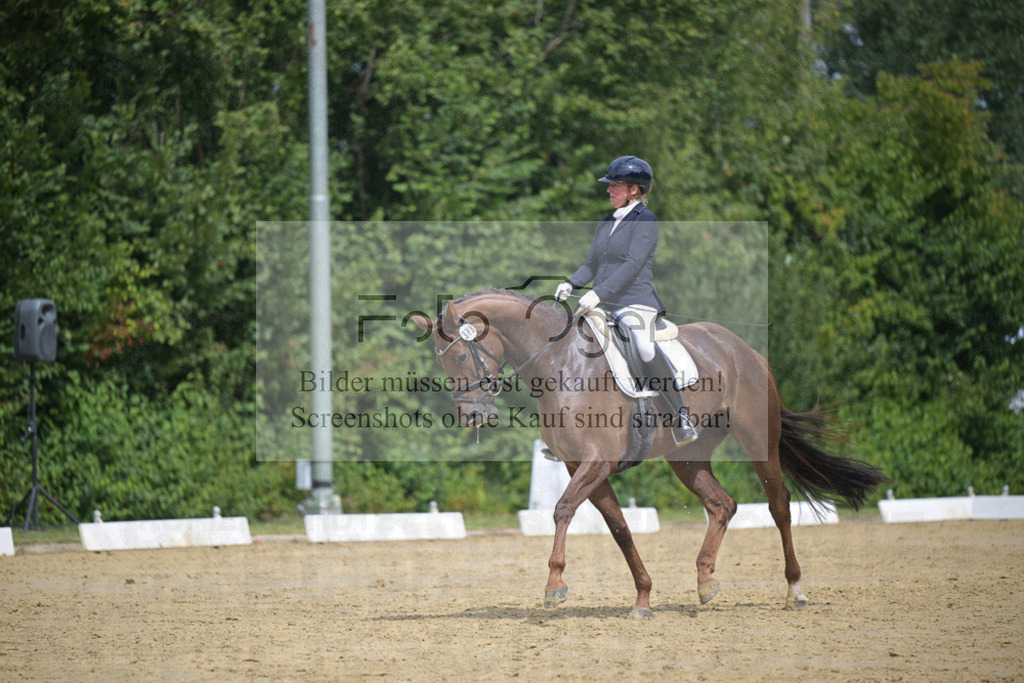 DOS_0016 | Entdecke hochwertige Reitturnierfotos von Foto Oger. Professionell, emotional und authentisch – jetzt Lieblingsmomente im Shop bestellen.Deutschlandweite Turnierfotografie. - Realisiert mit Pictrs.com