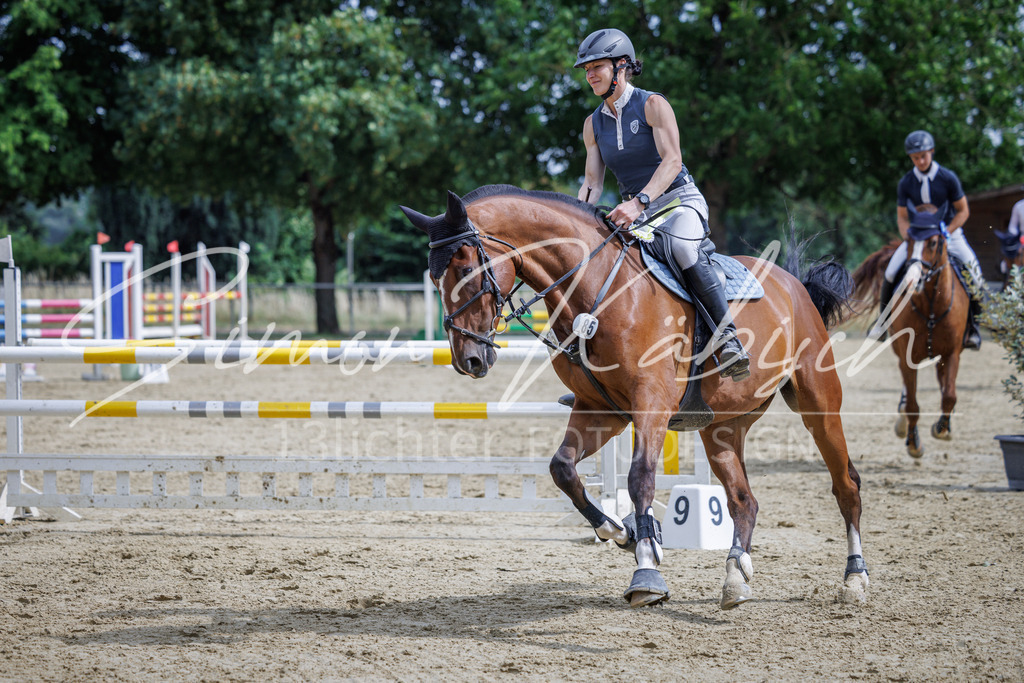 20260705-_3LI6797 | Tierfotografie Pferde, Hunde, Katzen, Haustiere.
Turnierfotografie Reitturniere, Reiten, Springreiten, Dressur in Hanau, dem Main-Kinzig-Kreis und dem Rhein-Main- Gebiet um Frankfurt