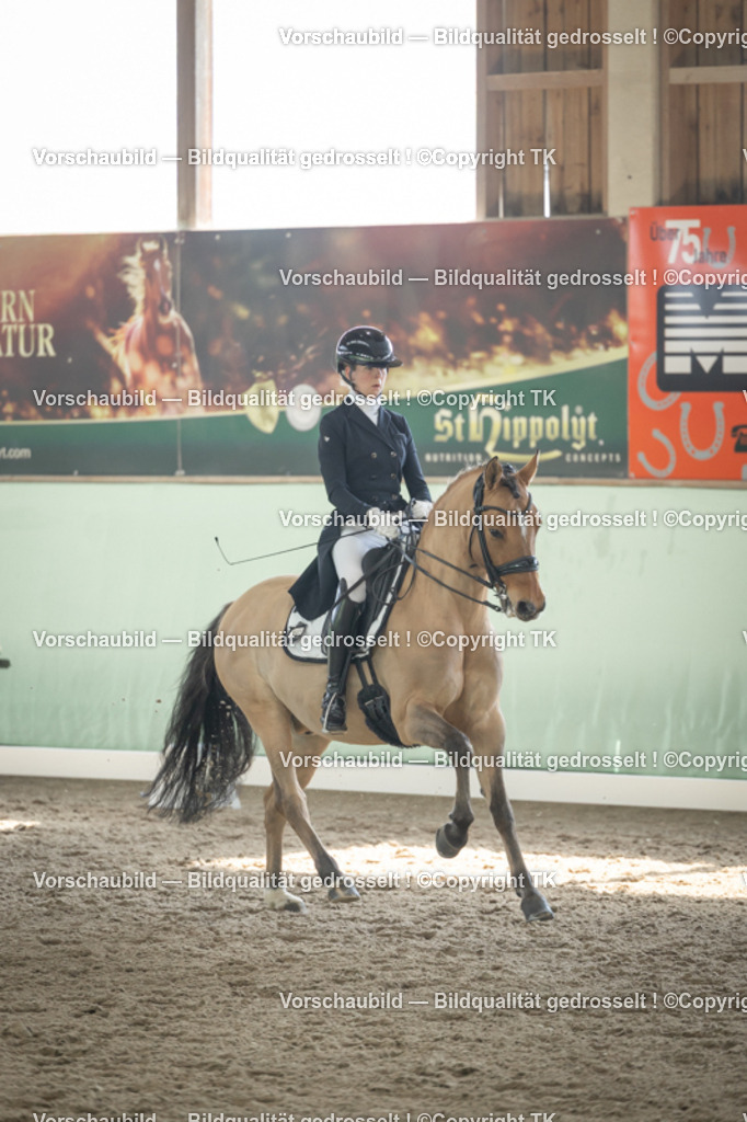 _D5A1774 | Emotionale Pferde- & People-Fotografie rund um Heidelberg, Leimen & Umgebung. Natürliche Fotos von Pferd, Mensch & Familie. Jetzt Termin sichern!