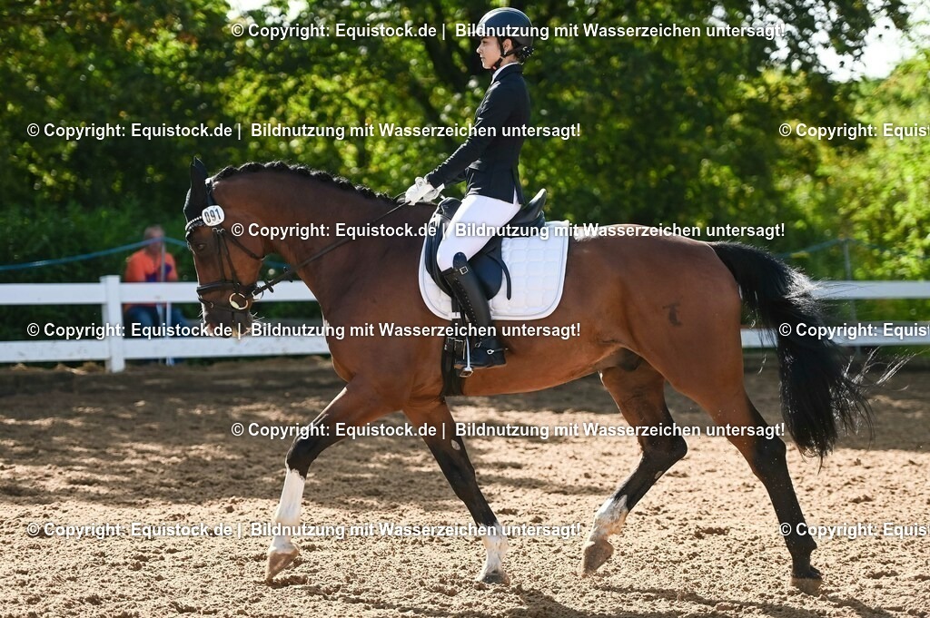 20230716_04_Dressurreiterprüfung Kl.A_0174 | equistock