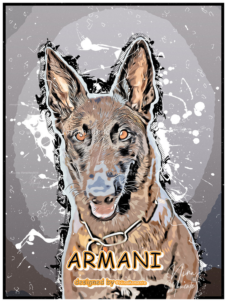 _16A0007-1C | Einzigartige Fotos von Hunden & Menschen –Actionfotos, Portraits, Vereinsaufnahmen & Paarshootings – authentisch, lebendig & mit Herz.