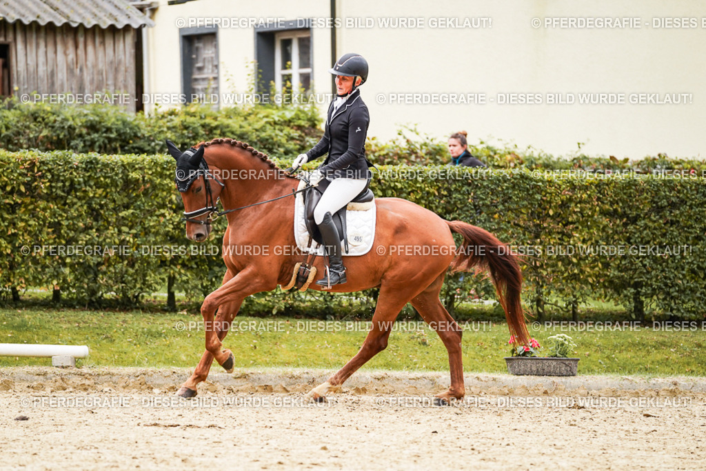 DSC08400 | Pferdegrafie