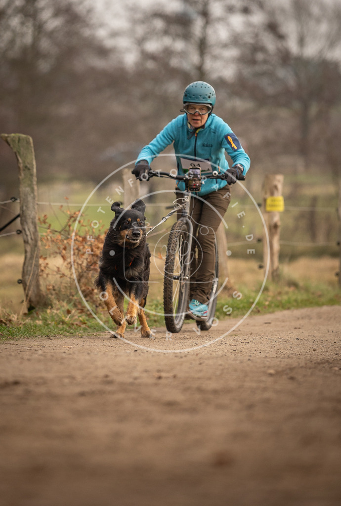 Pfotenfotografie_DV3A4245 | Hundefotografie, Tierfotograf, Pfotenfotografie, Fotoshooting Hund, Hunde Portrait, Hundesport, Hundeportraits, Heideshooting, Hunde, Sportfotograf, Hundefotograf, Turnierhundsport, THS,  - Realisiert mit Pictrs.com