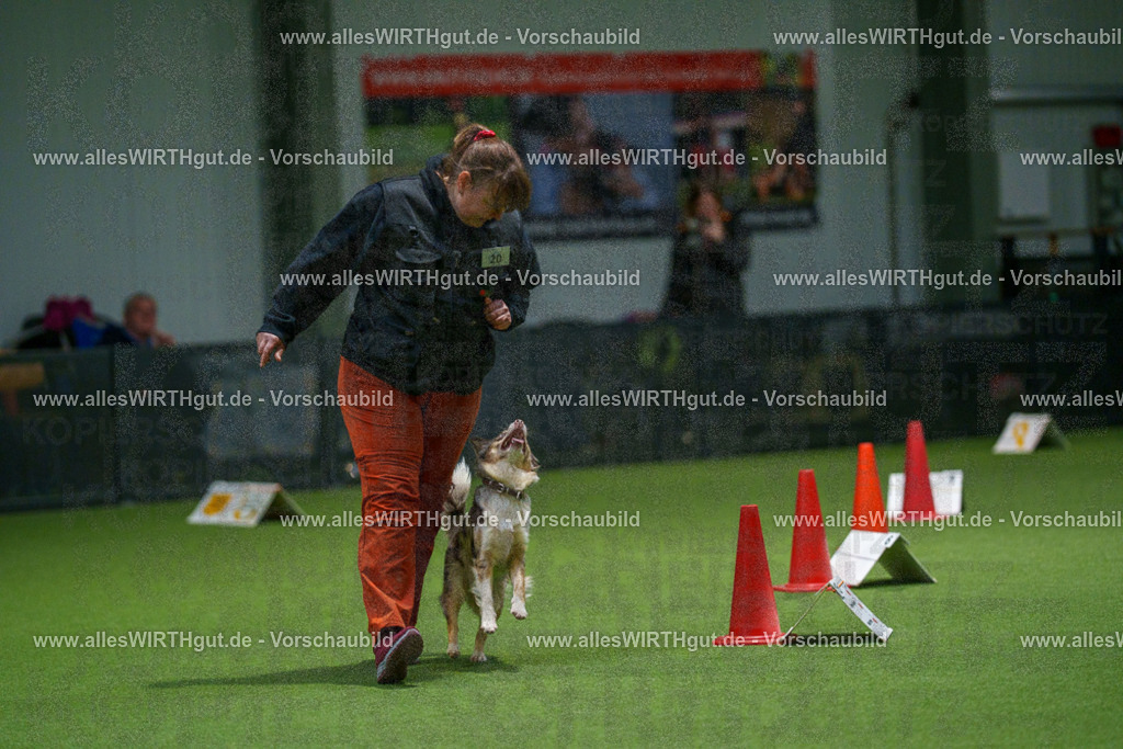 7R504641 | Professionelle Tierfotografie in Mönchengladbach von Daniel Wirth (allesWIRTHgut). Liebevolle & natürliche Bilder von Hunden & Katzen für unvergessliche Erinnerungen.