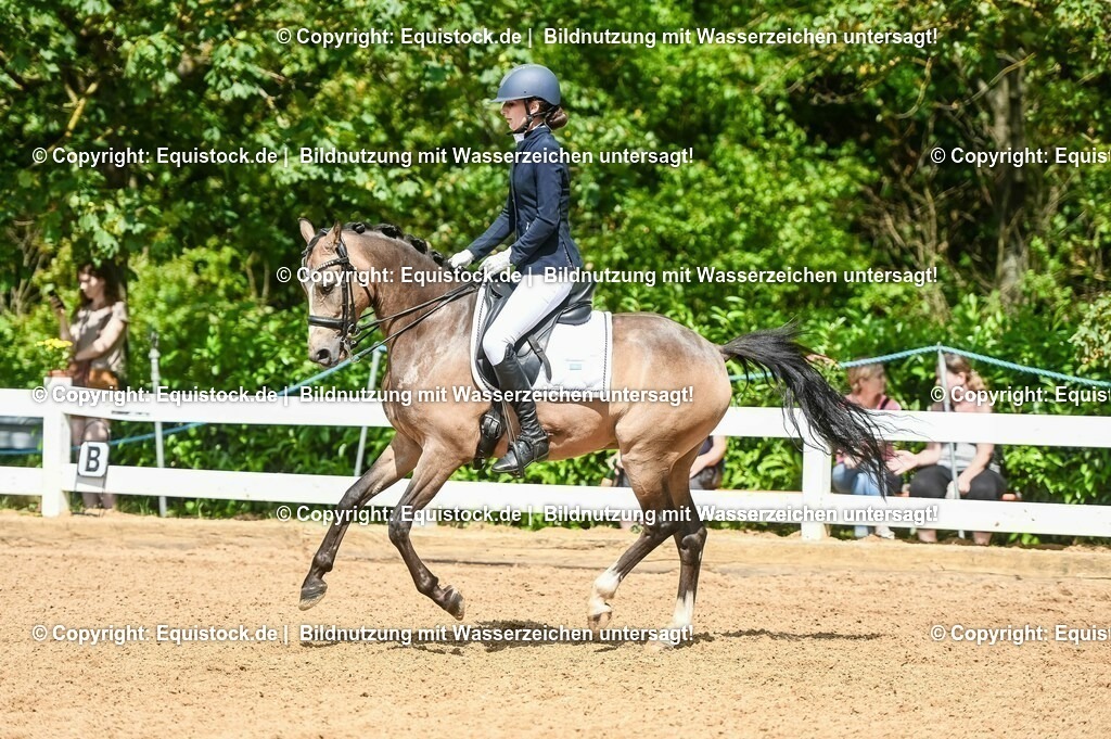 20230716_01_Dressurprüfung Kl.M_0219 | equistock