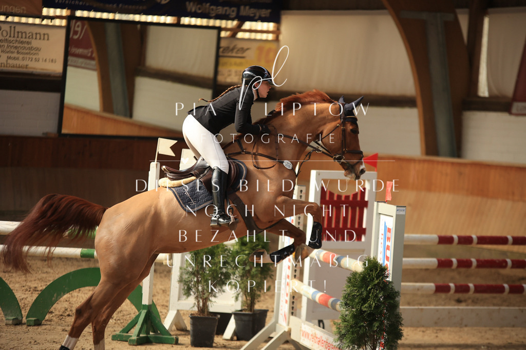 IMGT0199 | pl-fotografie