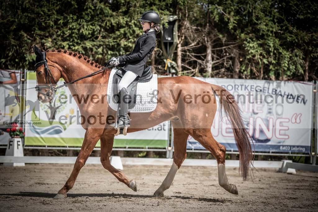 DSC_3221 | equestrian-live-com