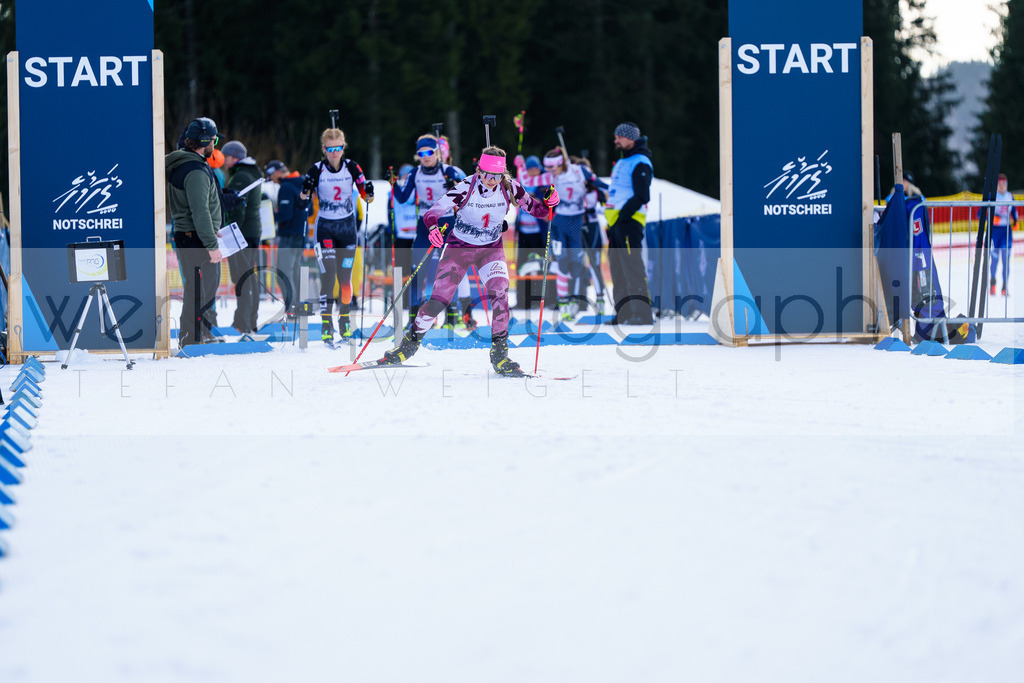 FESA Alpencup / DP Notschrei | Deutschland Pokal Finale im Schwarzwald NORDIC-CENTER Notschrei am 7. - 8. Februar 2026