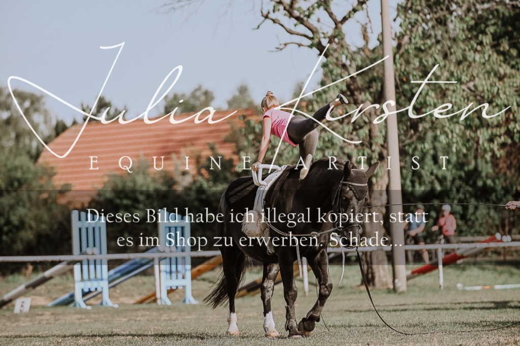 DSC_9831 | Pferde- und Turnierfotografie in Westsachsen. Pferdeportraits, Auftragszeichnungen und intuitive Kunst.