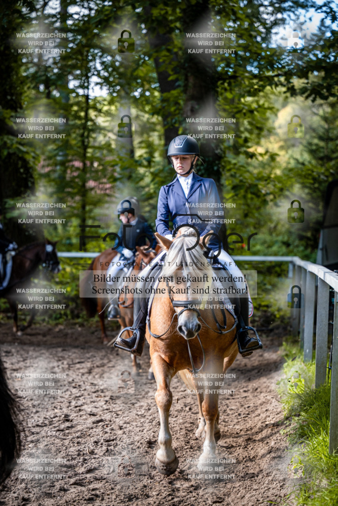 2026-10-Helle-20-4-0071 | Entdecke hochwertige Reitturnierfotos von Foto Oger. Professionell, emotional und authentisch – jetzt Lieblingsmomente im Shop bestellen.Deutschlandweite Turnierfotografie. - Realisiert mit Pictrs.com