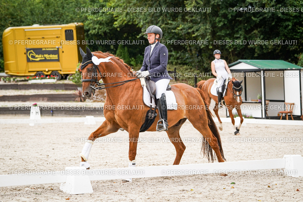 DSC08136 | Pferdegrafie