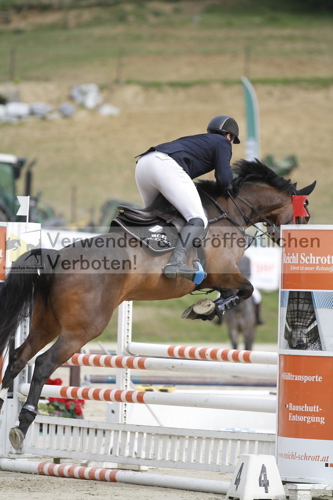 _MG_0841 | equestrian-live-com