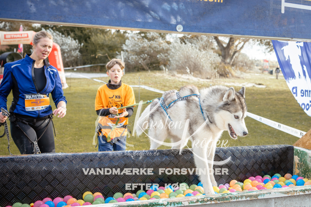 1412_ZZ93825-2 | kk-dogfotos