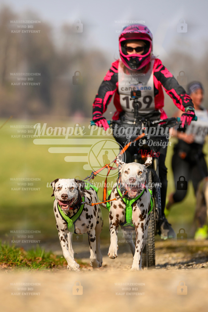 MompixPhotography_6ReiatRennen2026_SA_HappyDog-102 | PayLife