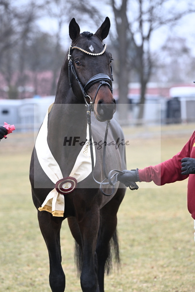Kat.-Nr. 22 v. Heartbreaker_Laue_3265715 | hf-fotografie - Realisiert mit Pictrs.com