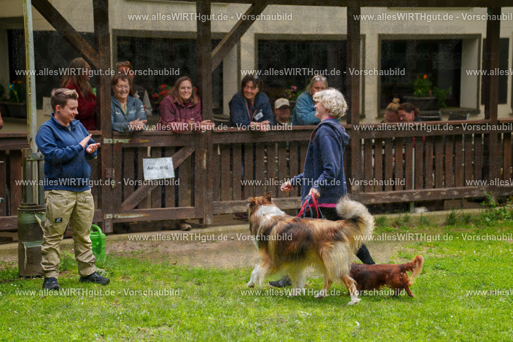 @allesWIRTHgut_Tierfotografie - www.allesWIRTHgut.de - 115107-7R508649 | Professionelle Tierfotografie in Mönchengladbach von Daniel Wirth (allesWIRTHgut). Liebevolle & natürliche Bilder von Hunden & Katzen für unvergessliche Erinnerungen.
