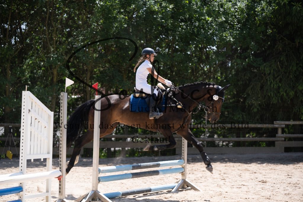 A7V08321 | Pferdefotograf