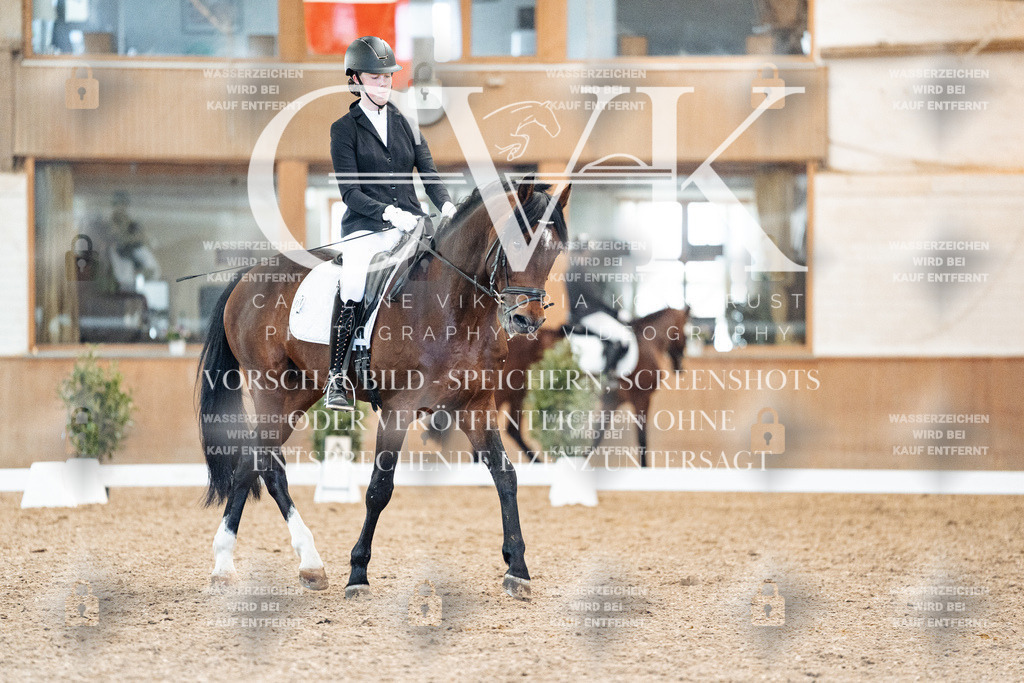 CK908527 | Turnierfotografie Pferdefotografie Trier Rheinland-Pfalz Pferdesport Reitsport Tierfotografie Sportfotografie Pferdevideo Pferdevideografie Equestrianvideography equestrianphotography  - Realisiert mit Pictrs.com