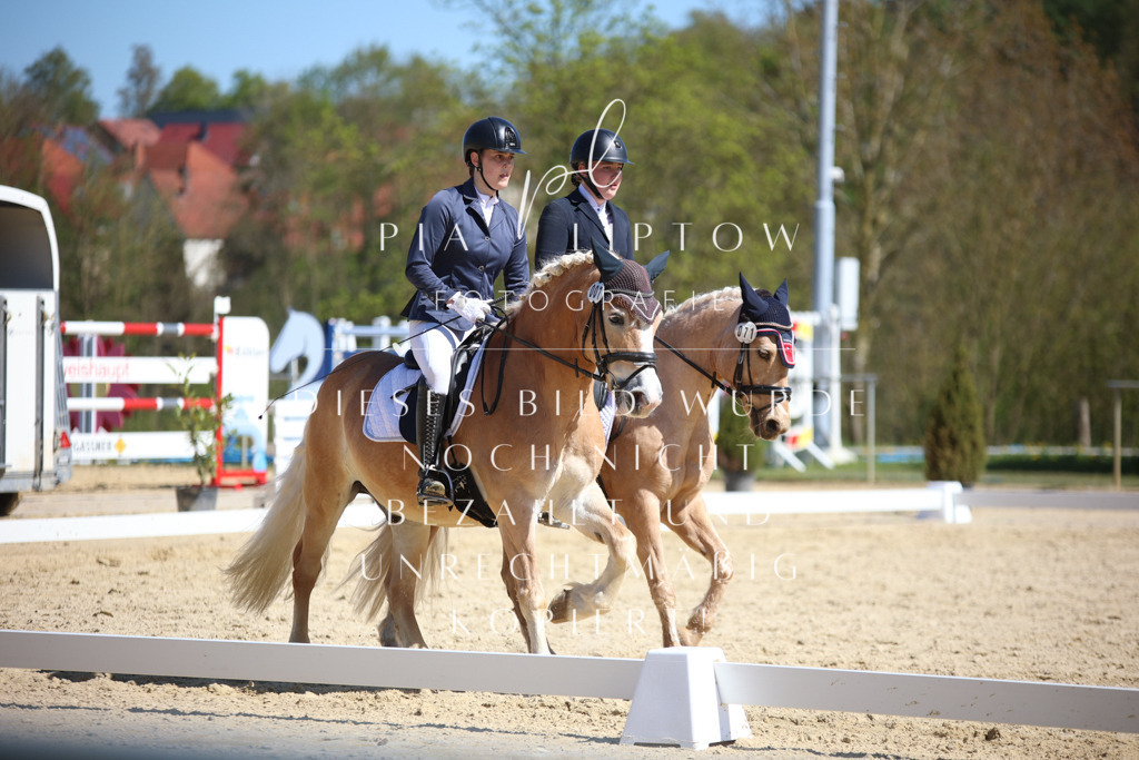 IMGT1732 | pl-fotografie