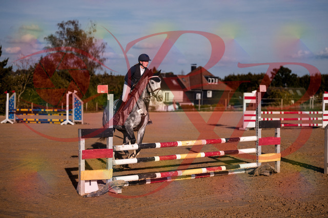 2026_10_03_Siefer-Hof_171341_Z81_10568195 | Professionelle Reitsport-, Turnier- und Eventfotografie von Robert Broda. Galerien mit ausgewählten und bearbeiteten Bildern direkt online ansehen und bestellen.