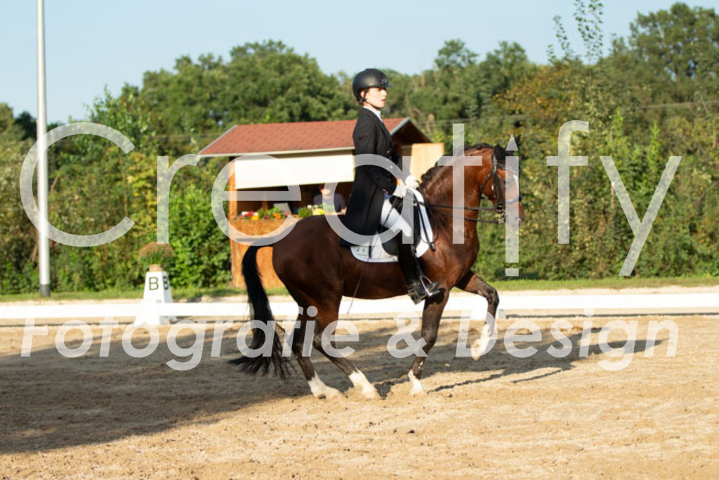 IMG_6269 | Creatify Fotografie